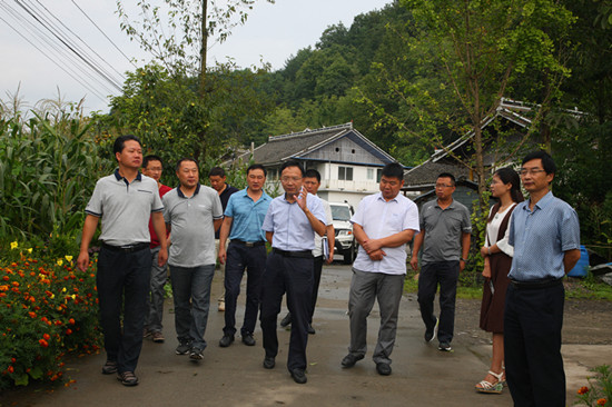 王尔敏督导部分乡镇当前重点工作-旺苍人民政府